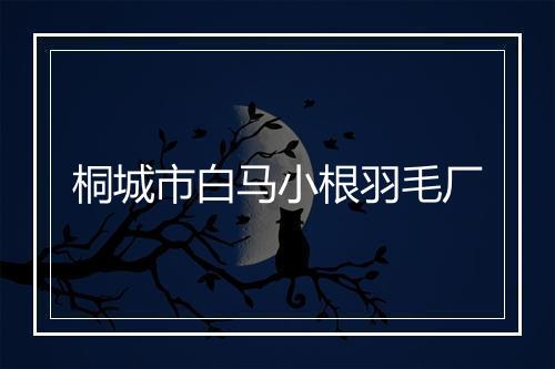桐城市白马小根羽毛厂