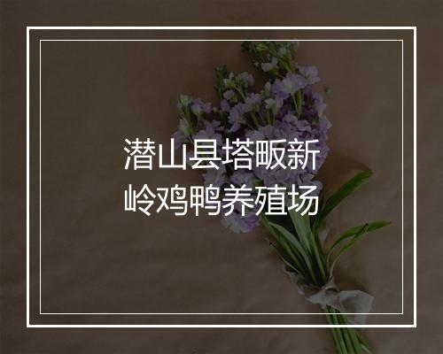 潜山县塔畈新岭鸡鸭养殖场