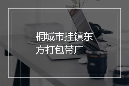 桐城市挂镇东方打包带厂