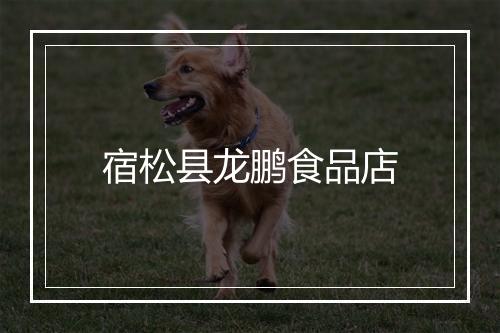 宿松县龙鹏食品店