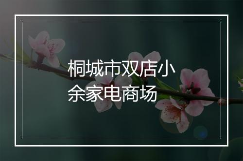 桐城市双店小余家电商场