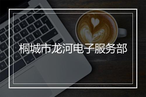 桐城市龙河电子服务部