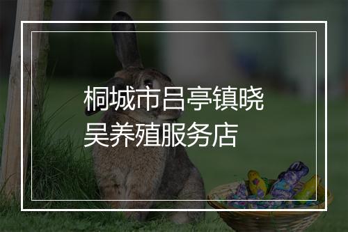 桐城市吕亭镇晓吴养殖服务店