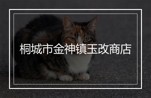 桐城市金神镇玉改商店