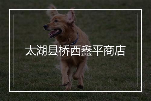 太湖县桥西鑫平商店