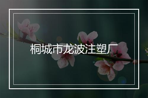 桐城市龙波注塑厂