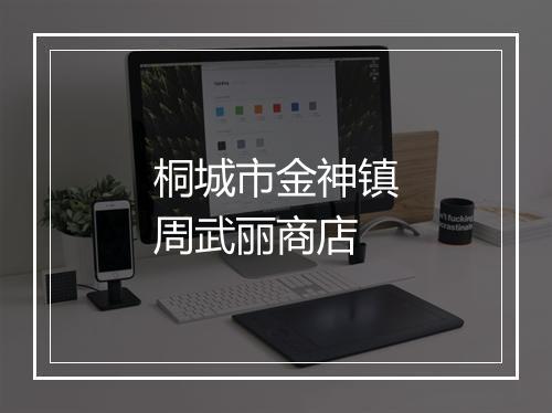 桐城市金神镇周武丽商店