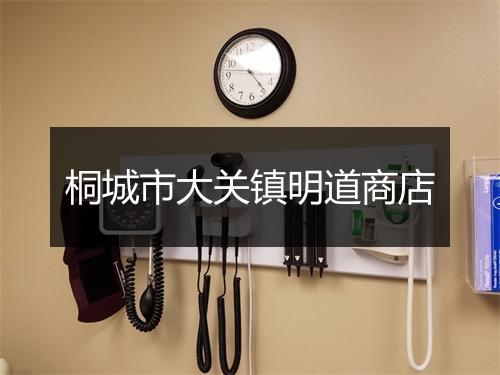 桐城市大关镇明道商店