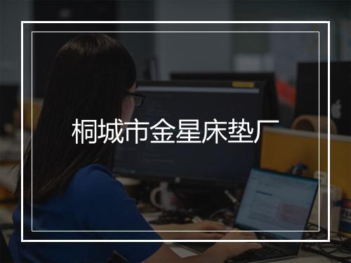 桐城市金星床垫厂