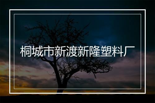 桐城市新渡新隆塑料厂