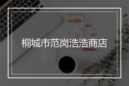 桐城市范岗浩浩商店