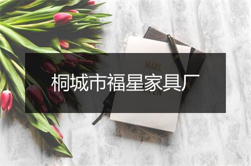 桐城市福星家具厂