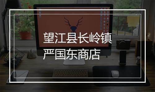 望江县长岭镇严国东商店
