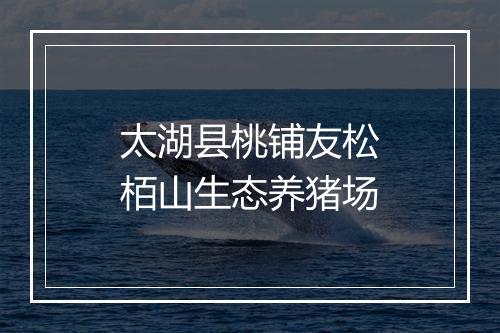太湖县桃铺友松栢山生态养猪场