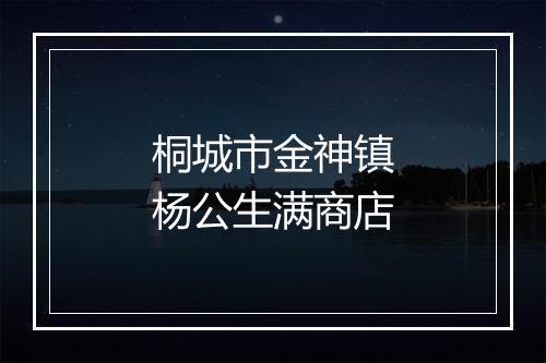 桐城市金神镇杨公生满商店