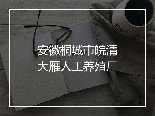 安徽桐城市皖清大雁人工养殖厂