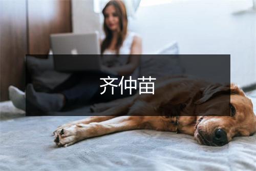 齐仲苗