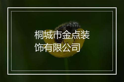 桐城市金点装饰有限公司