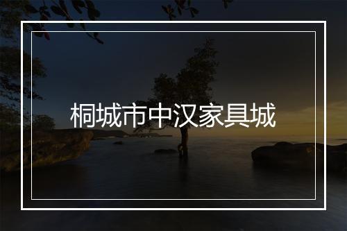 桐城市中汉家具城
