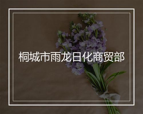 桐城市雨龙日化商贸部