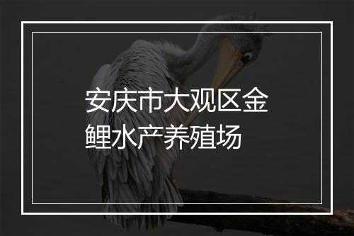 安庆市大观区金鲤水产养殖场