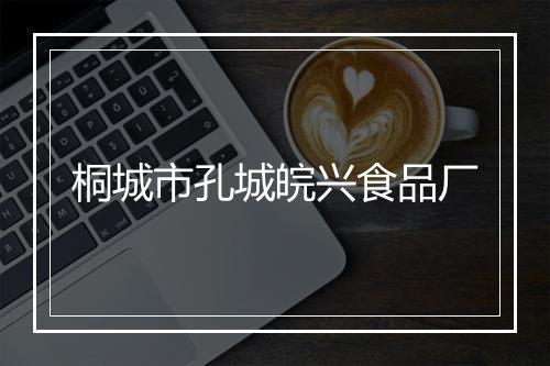 桐城市孔城皖兴食品厂