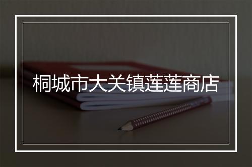 桐城市大关镇莲莲商店