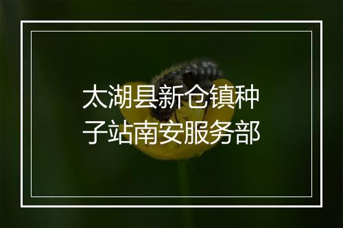 太湖县新仓镇种子站南安服务部