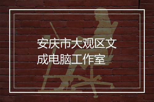 安庆市大观区文成电脑工作室