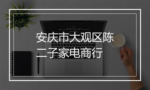 安庆市大观区陈二子家电商行