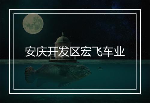 安庆开发区宏飞车业