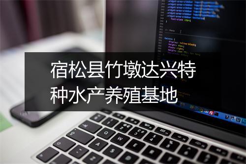 宿松县竹墩达兴特种水产养殖基地