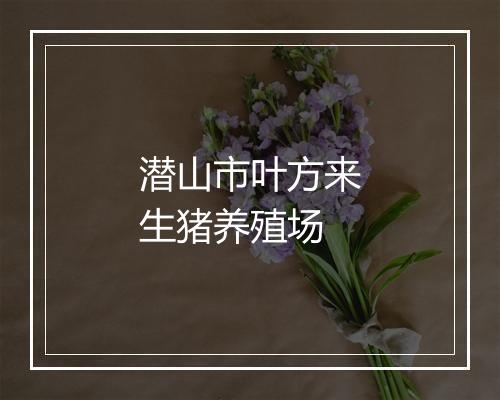 潜山市叶方来生猪养殖场