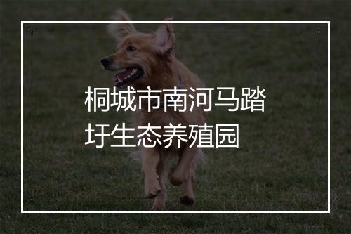 桐城市南河马踏圩生态养殖园