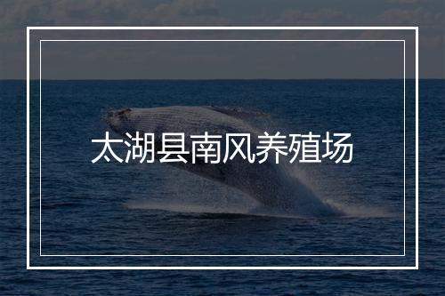 太湖县南风养殖场