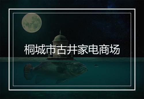 桐城市古井家电商场