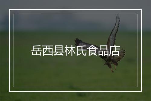 岳西县林氏食品店