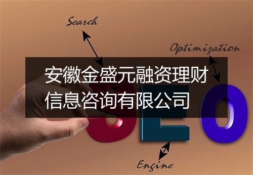 安徽金盛元融资理财信息咨询有限公司