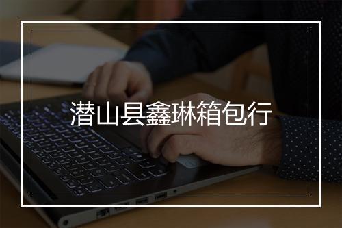 潜山县鑫琳箱包行