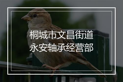 桐城市文昌街道永安轴承经营部