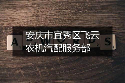 安庆市宜秀区飞云农机汽配服务部