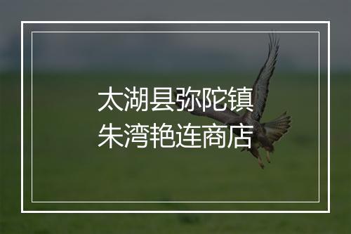 太湖县弥陀镇朱湾艳连商店