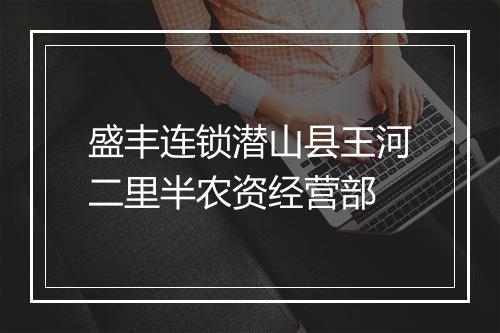 盛丰连锁潜山县王河二里半农资经营部