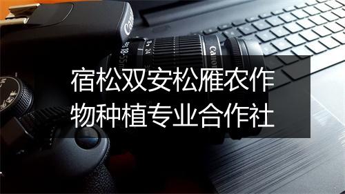 宿松双安松雁农作物种植专业合作社