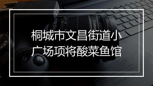 桐城市文昌街道小广场项将酸菜鱼馆