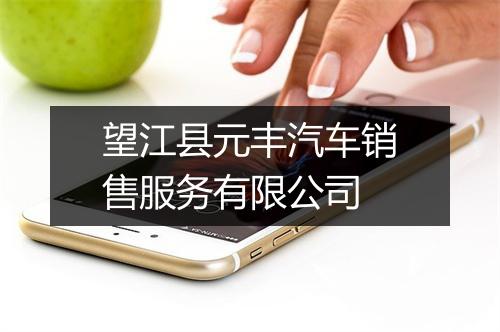 望江县元丰汽车销售服务有限公司
