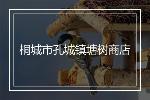 桐城市孔城镇塘树商店