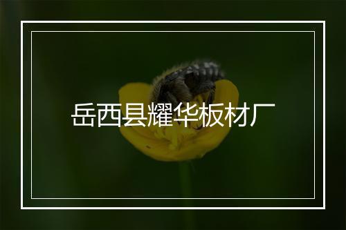 岳西县耀华板材厂