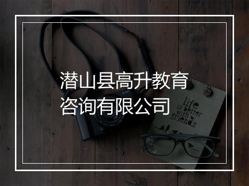 潜山县高升教育咨询有限公司