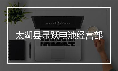 太湖县显跃电池经营部